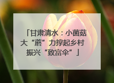 甘肃清水：小菌菇大“蘑”力撑起乡村振兴“致富伞”