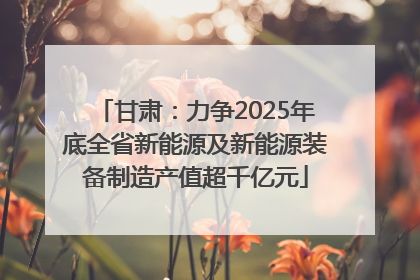 甘肃：力争2025年底全省新能源及新能源装备制造产值超千亿元