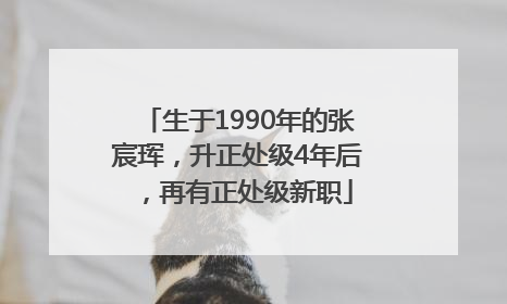 生于1990年的张宸珲，升正处级4年后，再有正处级新职