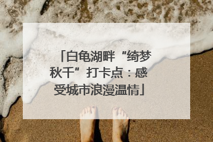 白龟湖畔“绮梦秋千”打卡点：感受城市浪漫温情