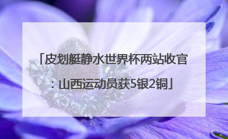 皮划艇静水世界杯两站收官：山西运动员获5银2铜