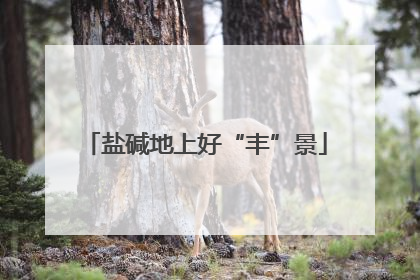 盐碱地上好“丰”景