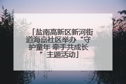 盐南高新区新河街道海嘉社区举办“守护童年 牵手共成长”主题活动