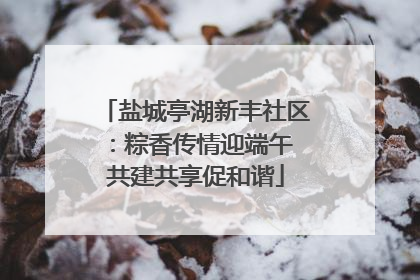 盐城亭湖新丰社区：粽香传情迎端午 共建共享促和谐