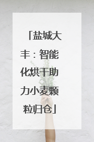 盐城大丰：智能化烘干助力小麦颗粒归仓
