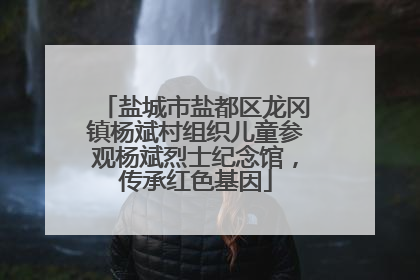 盐城市盐都区龙冈镇杨斌村组织儿童参观杨斌烈士纪念馆，传承红色基因