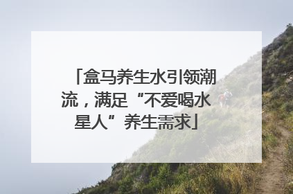 盒马养生水引领潮流，满足“不爱喝水星人”养生需求