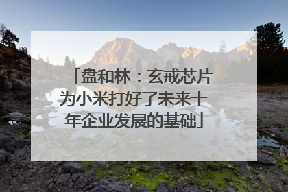 盘和林：玄戒芯片为小米打好了未来十年企业发展的基础