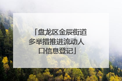盘龙区金辰街道多举措推进流动人口信息登记