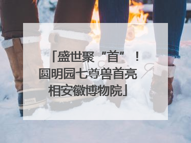 盛世聚“首”!圆明园七尊兽首亮相安徽博物院