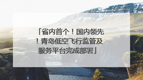 省内首个！国内领先！青岛低空飞行监管及服务平台完成部署