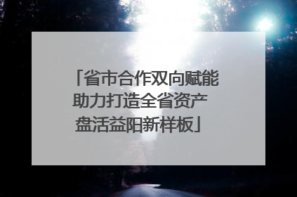 省市合作双向赋能 助力打造全省资产盘活益阳新样板