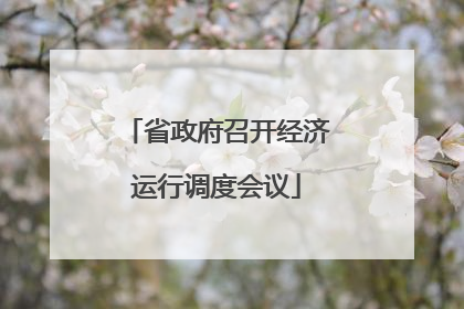 省政府召开经济运行调度会议