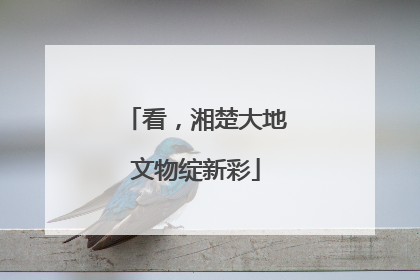 看，湘楚大地文物绽新彩