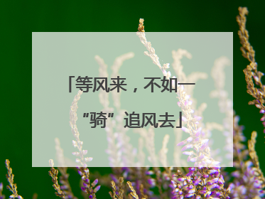 等风来，不如一“骑”追风去