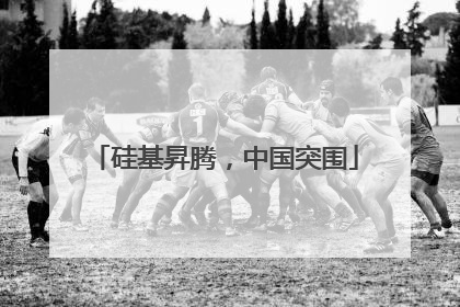 硅基昇腾，中国突围