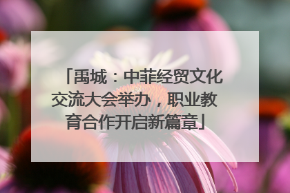 禹城：中菲经贸文化交流大会举办，职业教育合作开启新篇章