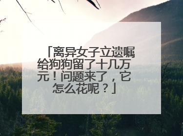 离异女子立遗嘱给狗狗留了十几万元！问题来了，它怎么花呢？