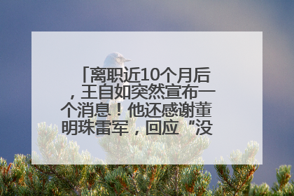 离职近10个月后，王自如突然宣布一个消息！他还感谢董明珠雷军，回应“没看过格力工资条”：真的不那么重要！