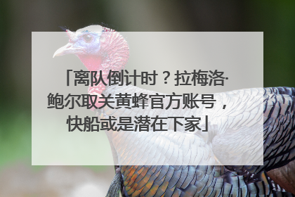 离队倒计时？拉梅洛·鲍尔取关黄蜂官方账号，快船或是潜在下家