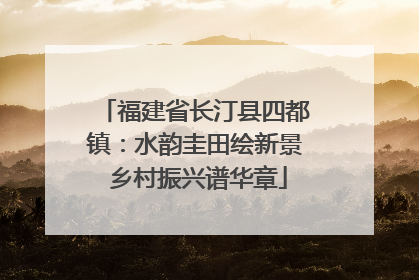 福建省长汀县四都镇：水韵圭田绘新景 乡村振兴谱华章