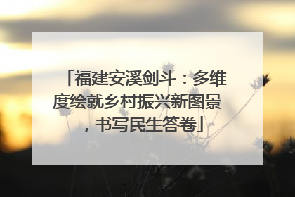 福建安溪剑斗：多维度绘就乡村振兴新图景，书写民生答卷