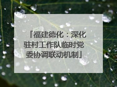 福建德化：深化驻村工作队临时党委协调联动机制