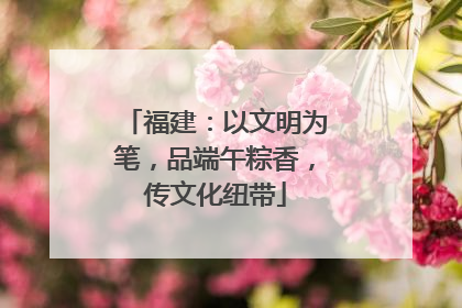 福建：以文明为笔，品端午粽香，传文化纽带