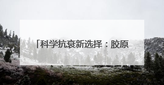 科学抗衰新选择：胶原蛋白肽品牌TOP6榜单解析，女性必看！