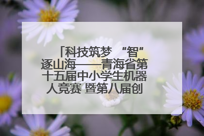 科技筑梦 “智”逐山海——青海省第十五届中小学生机器人竞赛 暨第八届创新设计大赛见闻