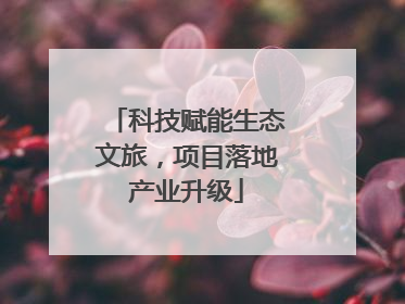 科技赋能生态文旅，项目落地产业升级
