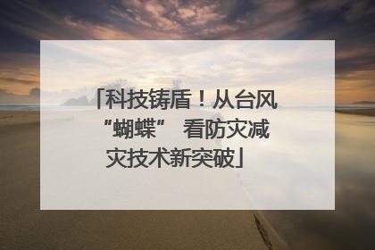 科技铸盾！从台风“蝴蝶” 看防灾减灾技术新突破