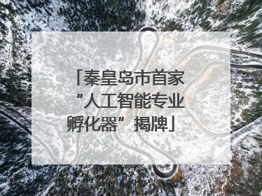 秦皇岛市首家“人工智能专业孵化器”揭牌