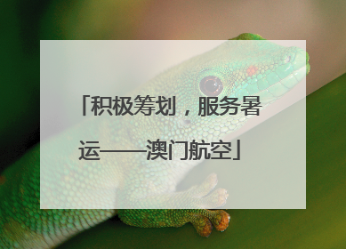 积极筹划，服务暑运——澳门航空