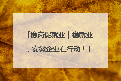 稳岗促就业｜稳就业，安徽企业在行动！