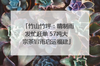 竹山竹坪：晴制雨发忙赶单 57吨大宗茶冒雨启运福建