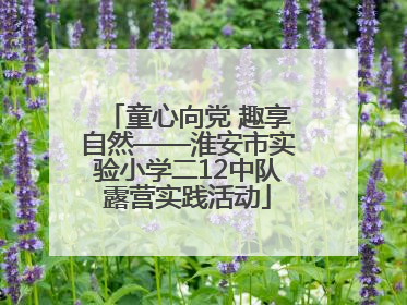 童心向党 趣享自然——淮安市实验小学二12中队露营实践活动