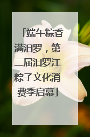 端午粽香满汨罗，第二届汨罗江粽子文化消费季启幕