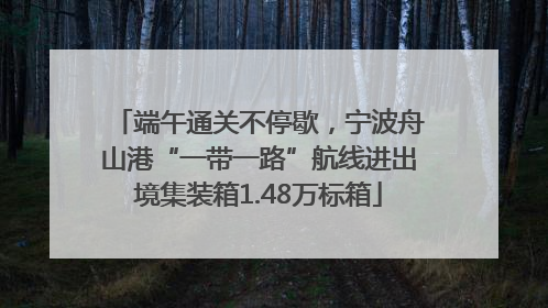 端午通关不停歇，宁波舟山港“一带一路”航线进出境集装箱1.48万标箱