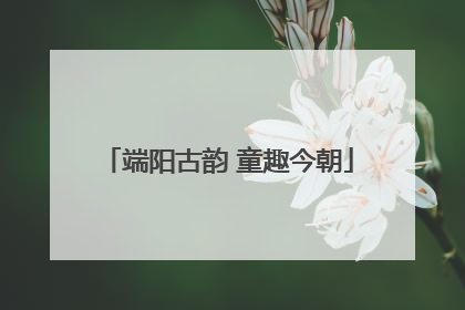 端阳古韵 童趣今朝