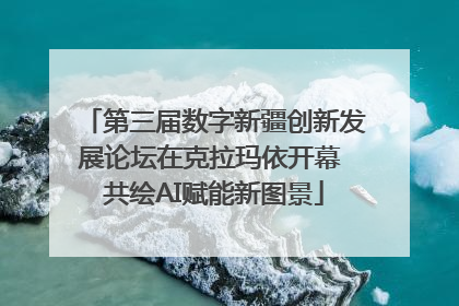 第三届数字新疆创新发展论坛在克拉玛依开幕 共绘AI赋能新图景
