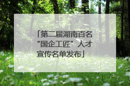 第二届湖南百名“国企工匠”人才宣传名单发布
