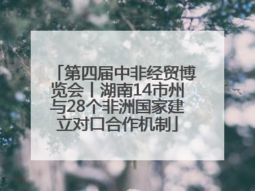 第四届中非经贸博览会丨湖南14市州与28个非洲国家建立对口合作机制