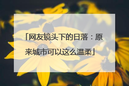 网友镜头下的日落：原来城市可以这么温柔