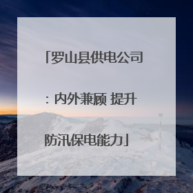 罗山县供电公司：内外兼顾 提升防汛保电能力