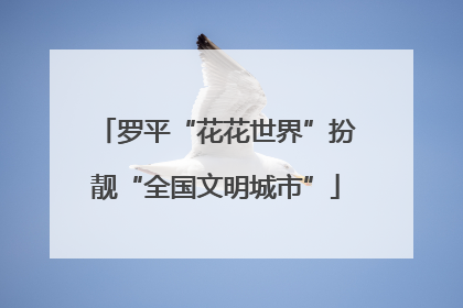 罗平“花花世界”扮靓“全国文明城市”