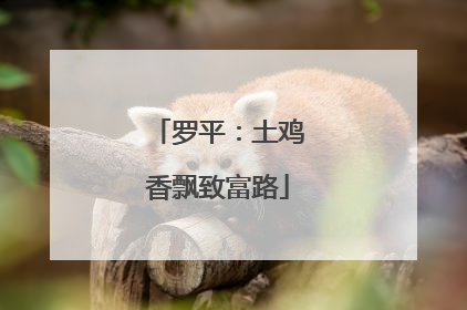 罗平：土鸡香飘致富路