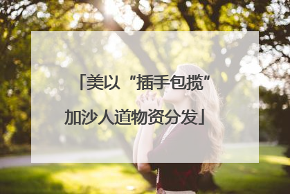 美以“插手包揽”加沙人道物资分发