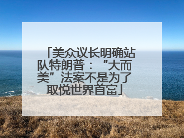 美众议长明确站队特朗普：“大而美”法案不是为了取悦世界首富