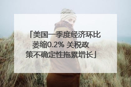 美国一季度经济环比萎缩0.2% 关税政策不确定性拖累增长